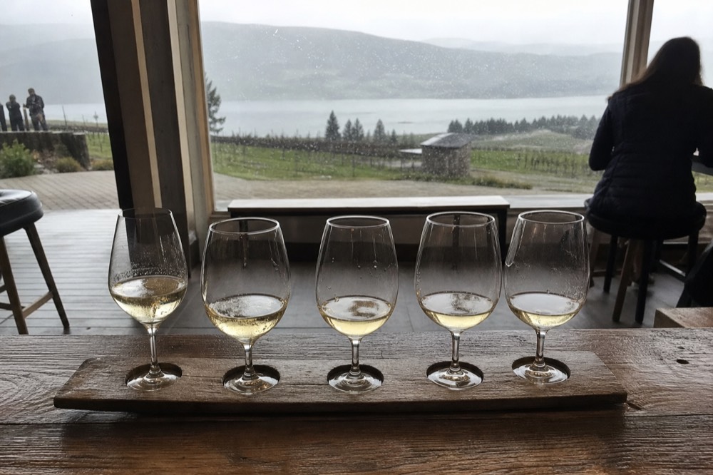 Wine tasting flight on a wooden table with vineyard view, no text, no logos, no people