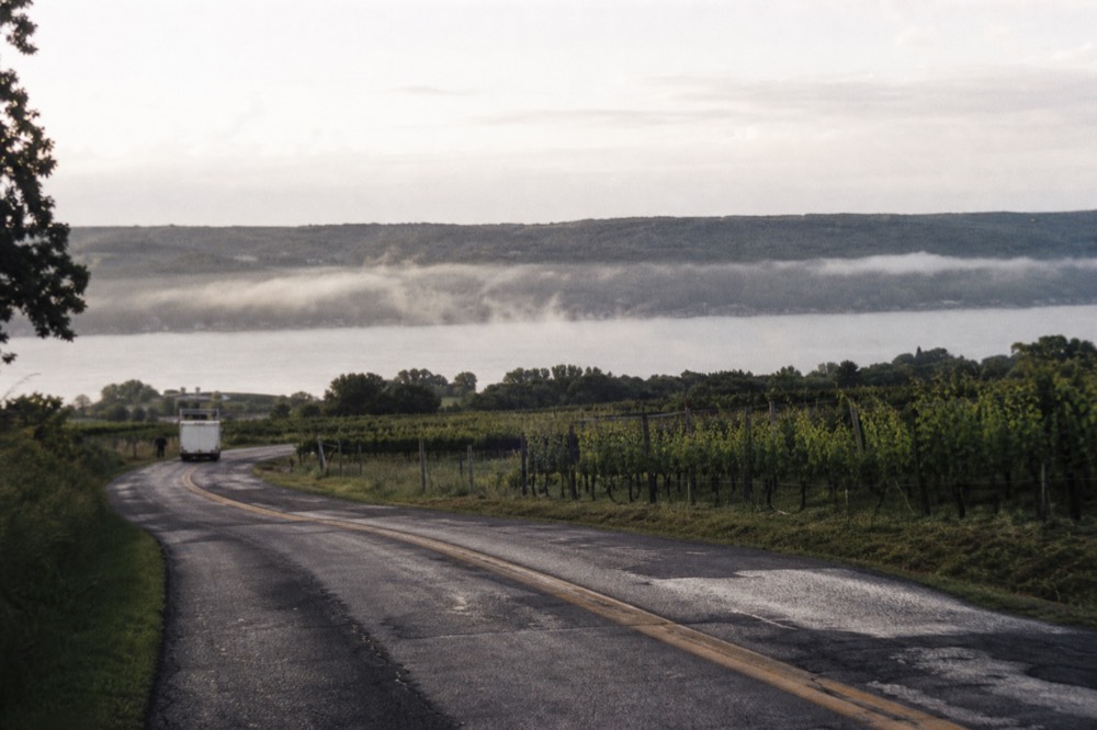 A two-lane road winding past vineyards with a lake in the distance, no text, no logos, no people