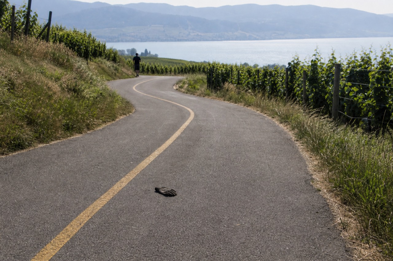 A winding road through vineyards near Seneca Lake, no text, no logos, no people