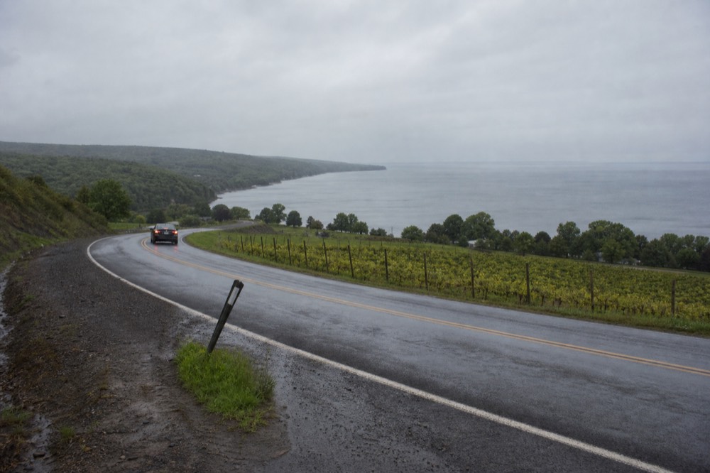 A quiet lake road curving past vineyards on the Seneca Lake shore, no text, no logos, no people