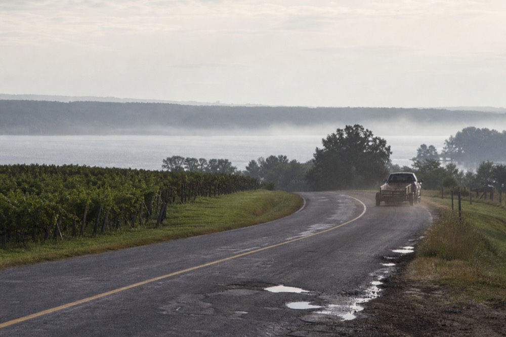 A rural two-lane road curving past vineyards toward a lake, no text, no logos, no people