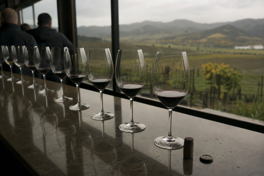 Wine glasses lined up on a tasting room bar overlooking a vineyard valley, no text, no logos, no people