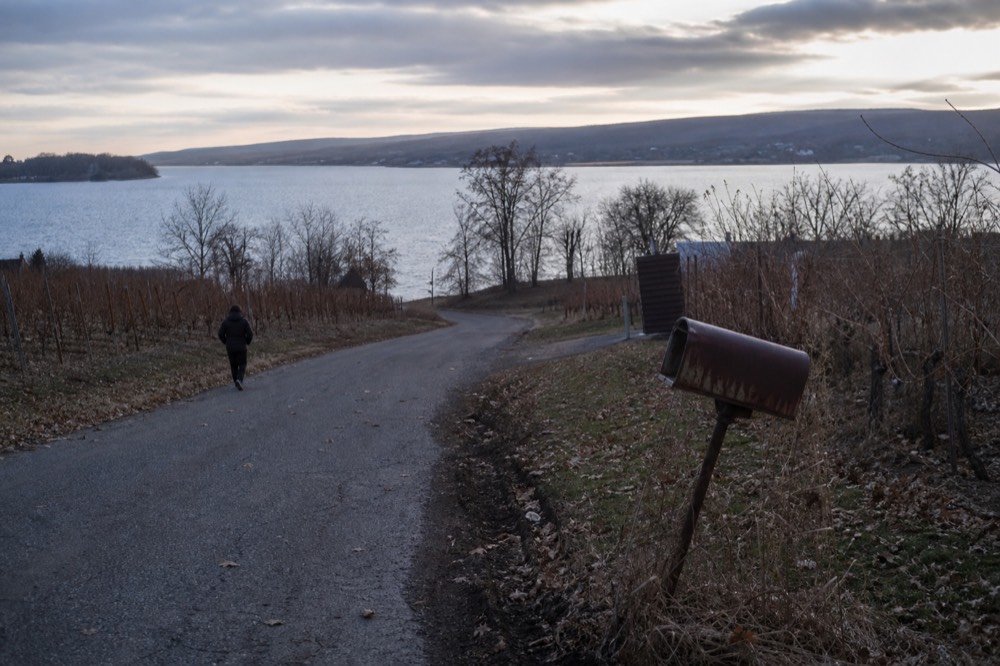 A quiet country road curving past vineyards toward a lake shoreline, no text, no logos, no people