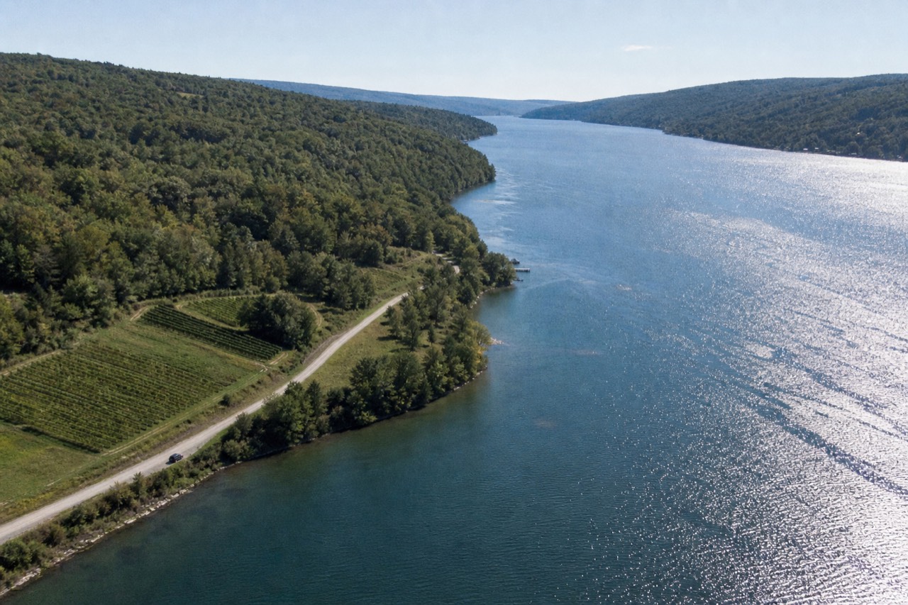 Keuka Lake's Y-shaped shoreline from above, no text, no logos, no people