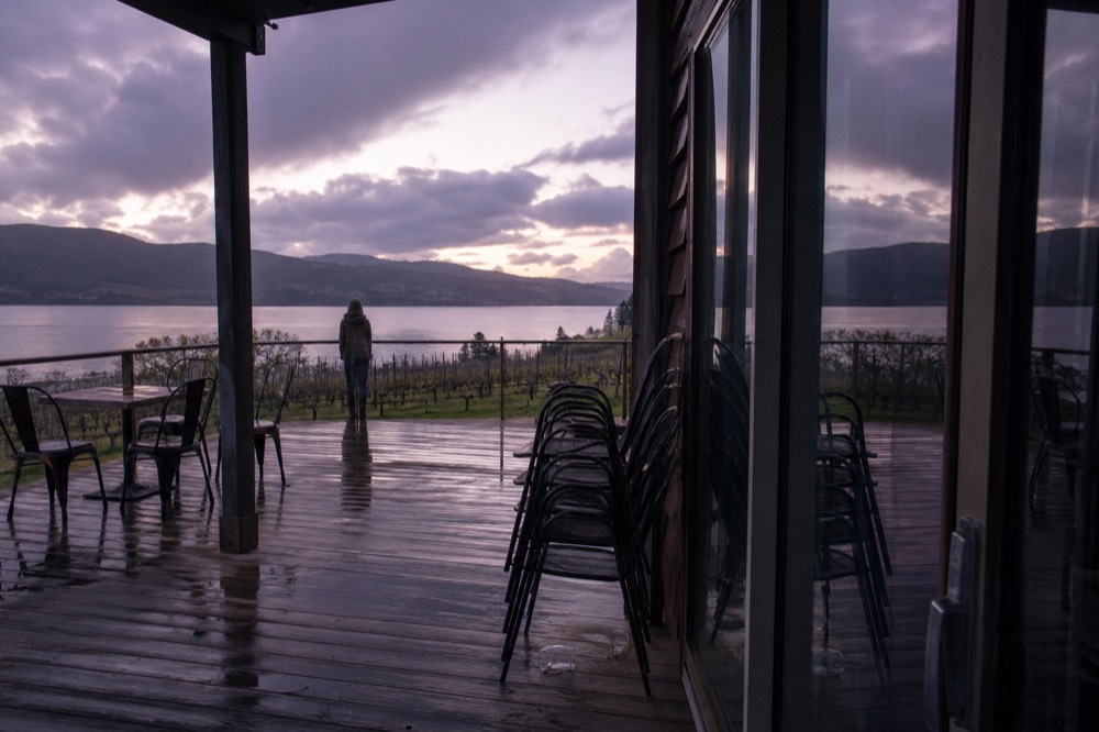 A tasting room deck overlooking a Finger Lake with vineyard rows below, no text, no logos, no people