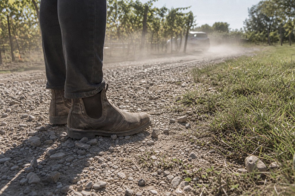 A pair of leather ankle boots on a gravel path near a vineyard, no text, no logos, no people