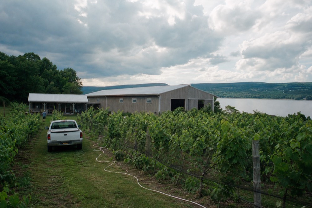 Winery buildings among vines near the southern end of Seneca Lake, no text, no logos, no people