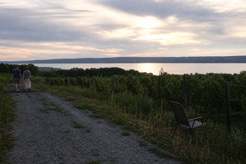 Lakeside vineyard view above Canandaigua Lake in the Finger Lakes wine region, no text, no logos, no people.