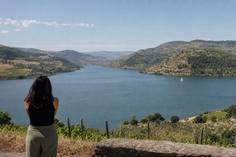 A calm lake with vineyard-covered hills on both shores, no text, no logos, no people