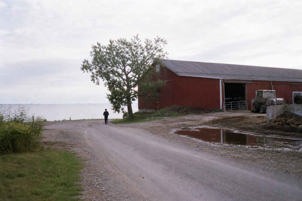 A country road curving past a dairy barn toward a lake, no text, no logos, no people