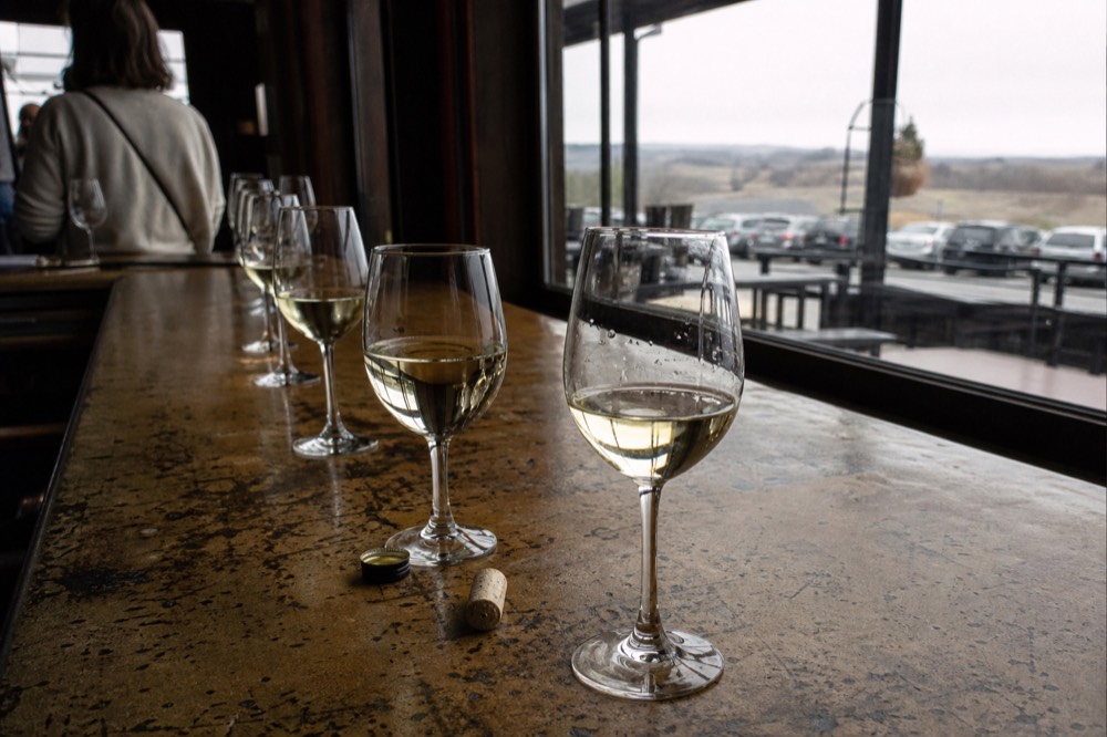 Glasses of pale white wine lined up on a tasting room bar, no text, no logos, no people