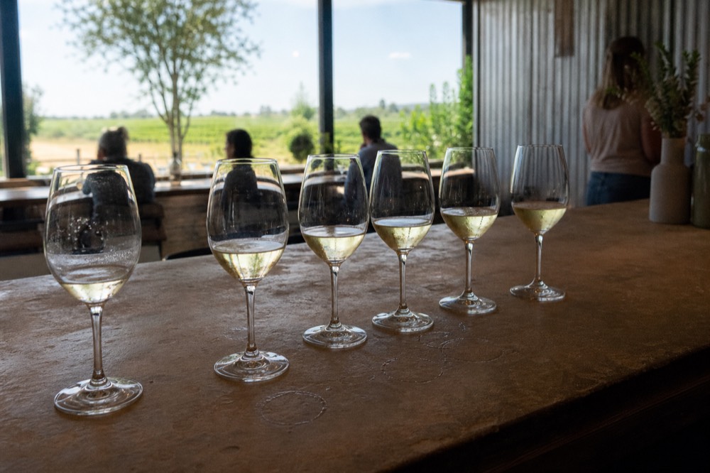 A tasting flight of white wines on a winery bar counter, no text, no logos, no people