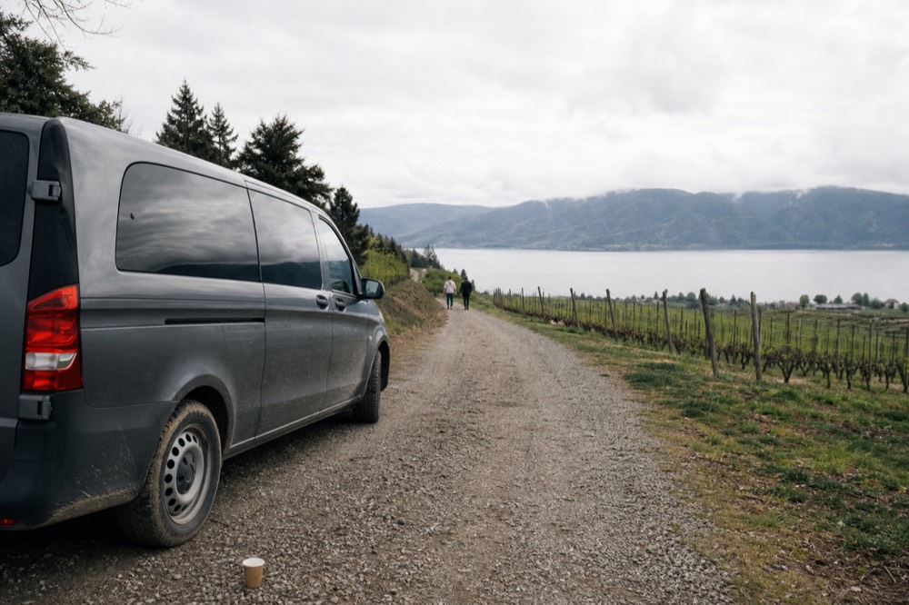 A small van parked on a rural road beside rows of vineyard vines sloping toward a lake, no text, no logos, no people