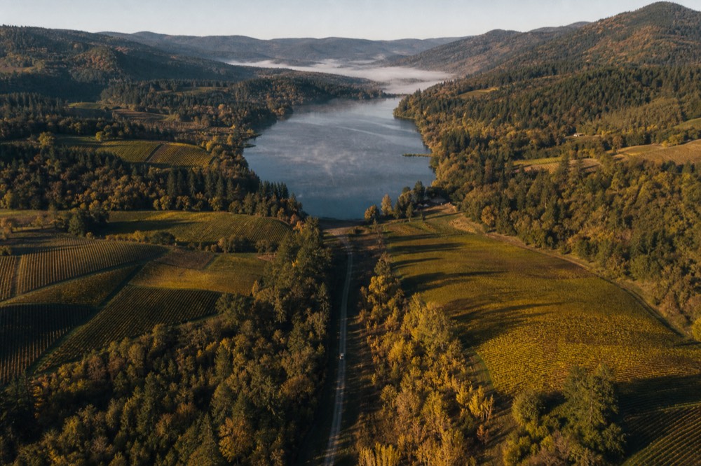 Aerial view of a long narrow Finger Lake with vineyards along its slopes, no text, no logos, no people