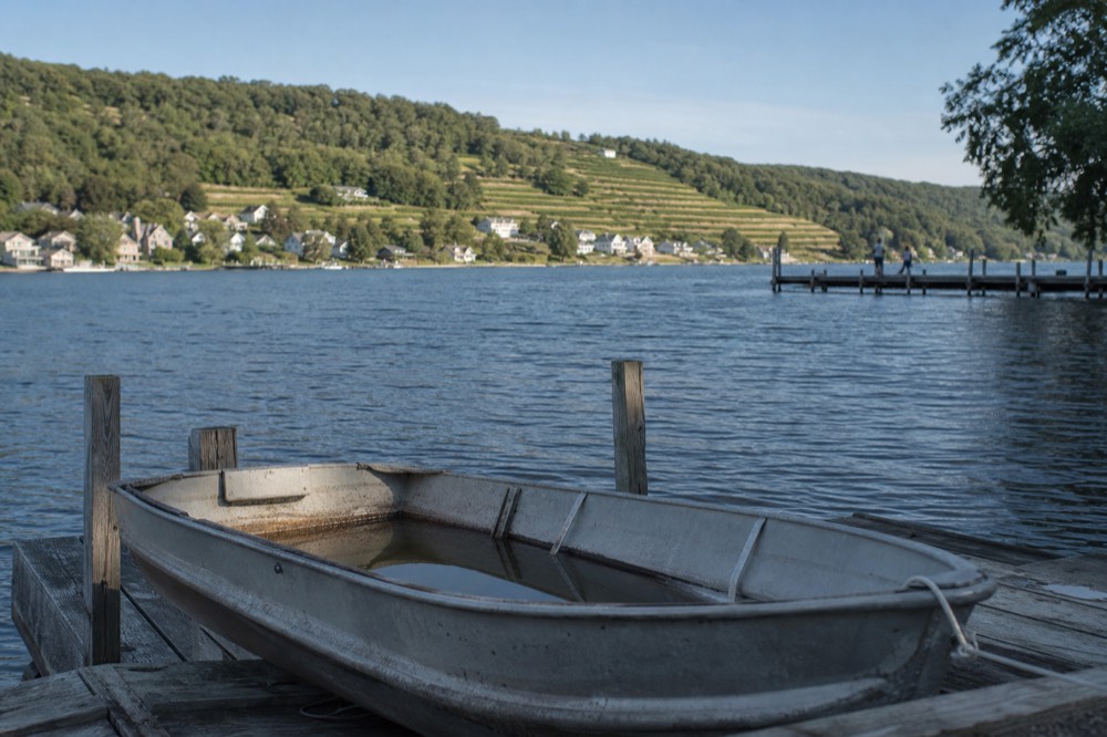 Keuka Lake shoreline with vineyards and a small town at the water's edge, no text, no logos, no people