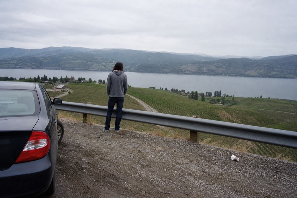 Map-like view of vineyards and a lake seen from a scenic overlook, no text, no logos, no people
