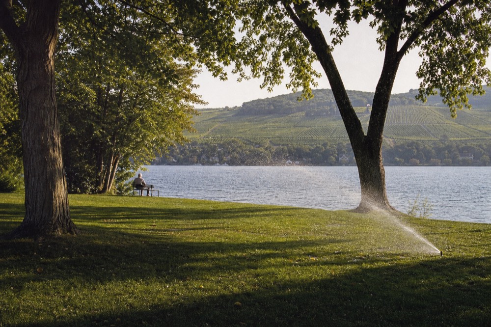 A small village park at the head of a Y-shaped lake with vineyards on the hills, no text, no logos, no people