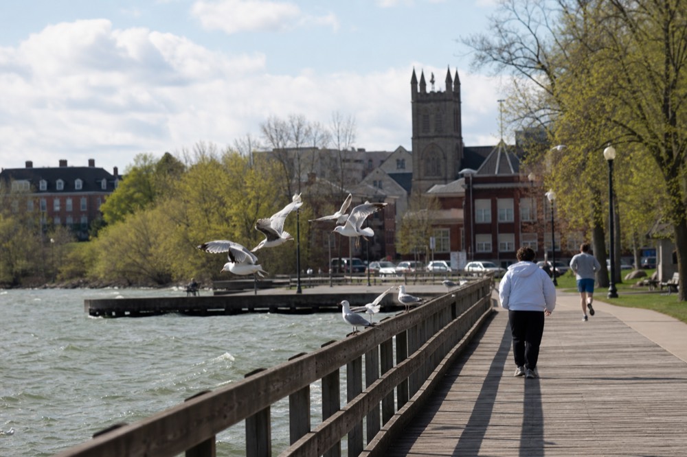 A lakeside city park with a pier and town rooftops along a Finger Lake, no text, no logos, no people